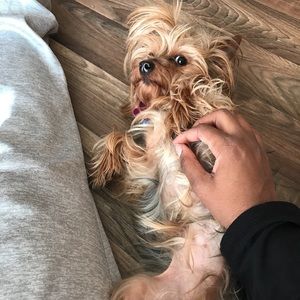 Meet your Posher, Arie